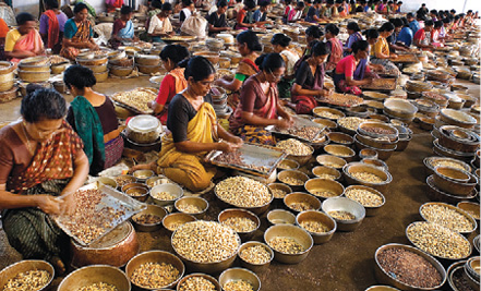 Cashewnut-factory.jpg